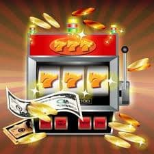 557 bet